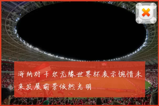 海纳对卡尔无缘世界杯表示惋惜未来发展前景依然光明